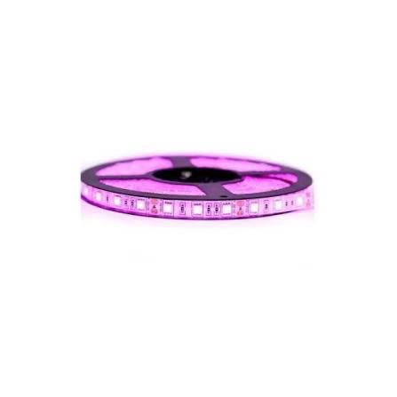 CEINTURE 12V-8MM-COB 5ML-320L PINK