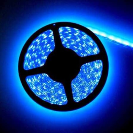 CEINTURE 12V-8MM-COB 5ML-320L BLUE