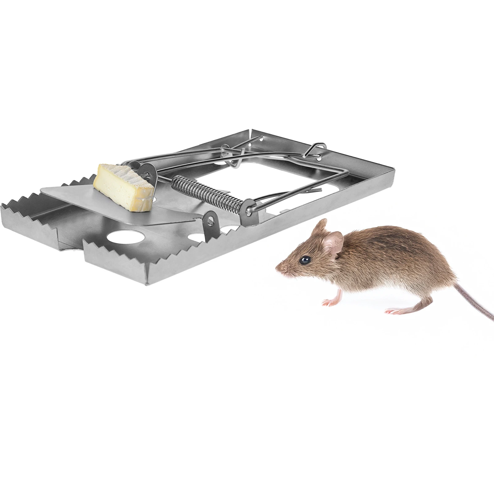 RATIERE SOURIS 16/GM